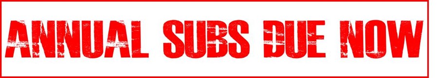 subs-due